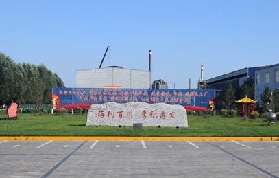 公司绿色花坛