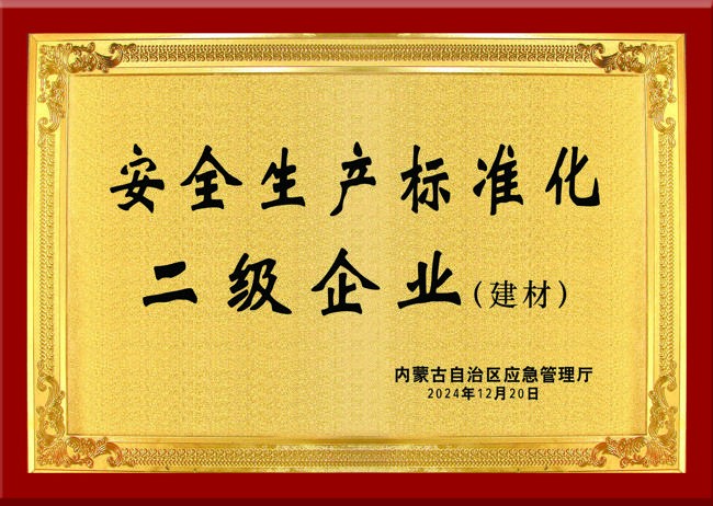 自治区安全生产标准化二级企业